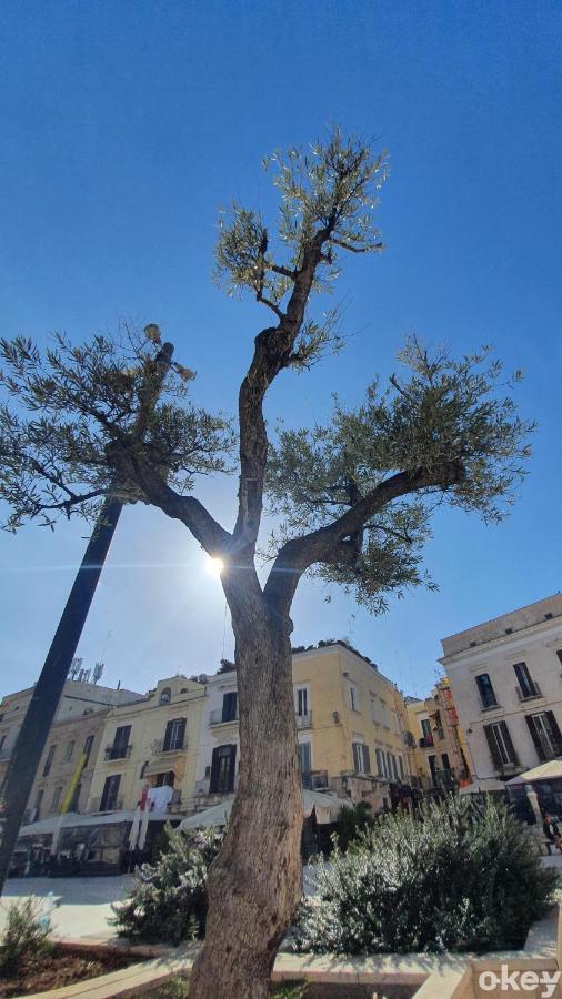 Dimora Donna Vittoria - Bari Vecchia Lägenhet Exteriör bild